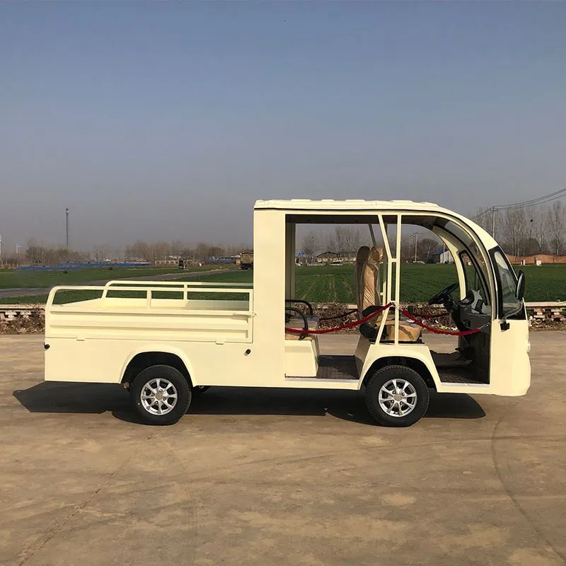 Electric Light Pickup Truck