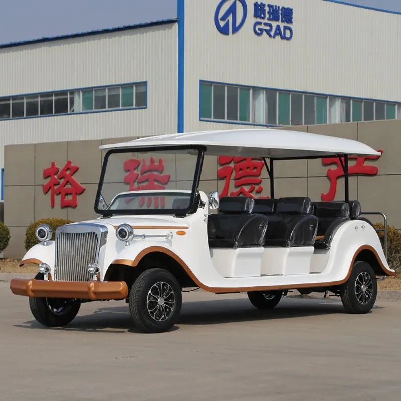 Hyundai Electric Vintage Car